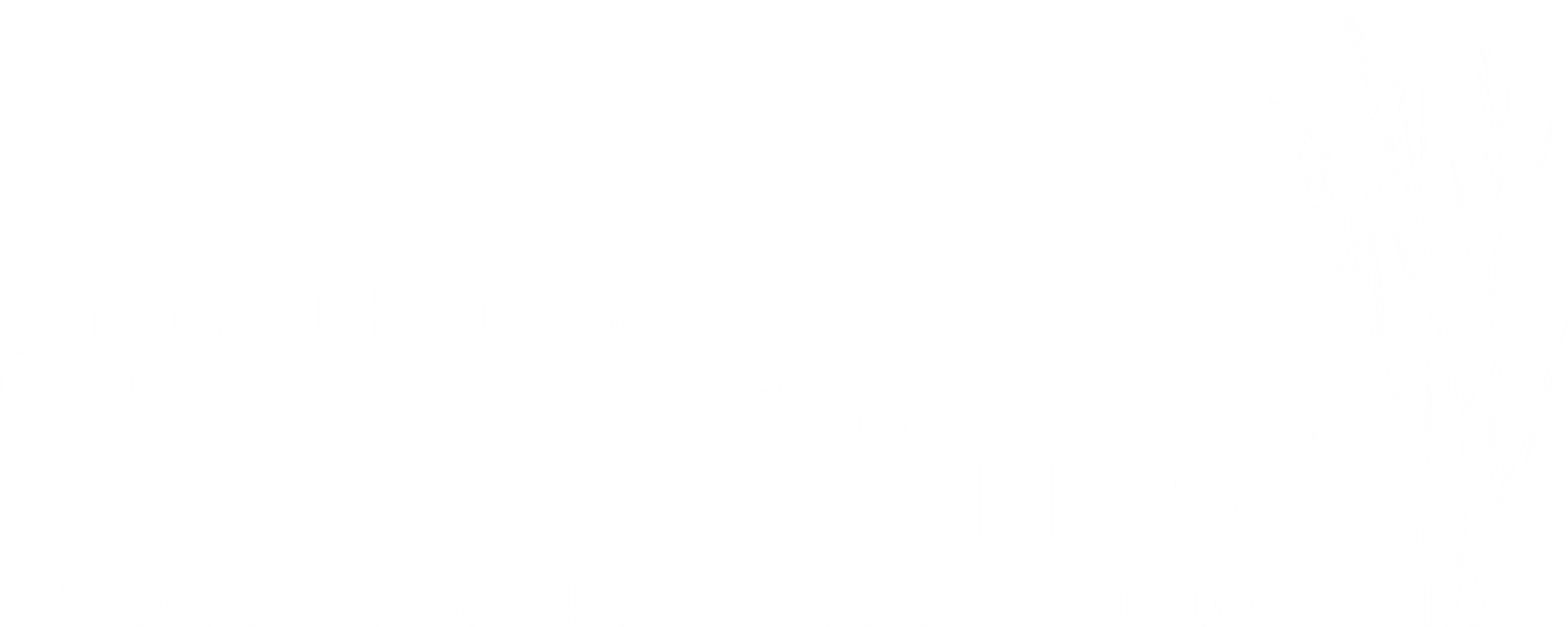 53_logo-2